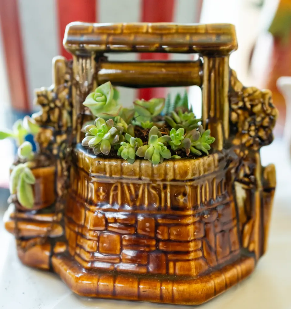 A planter with plants in it on top of a table.